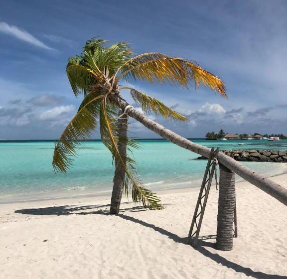 پانسیون Rangali Etos Guraidhoo