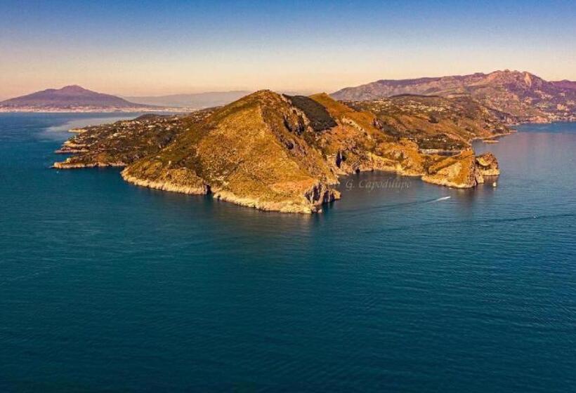 فندق Parco Tasso Guest House