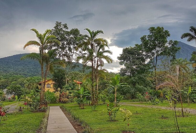 هتل Yellow Tree Suites