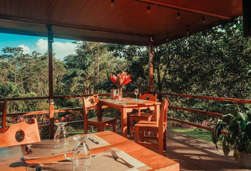 هتل Yellow Tree Suites