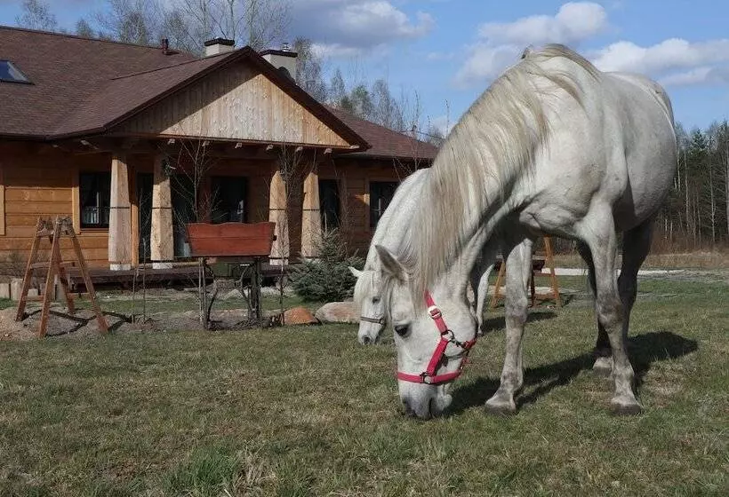 Aamiaismajoitus (B&B) Chata Pod świnią Górą
