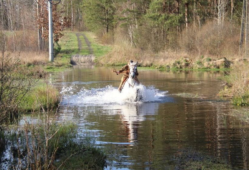 צימר Chata Pod świnią Górą