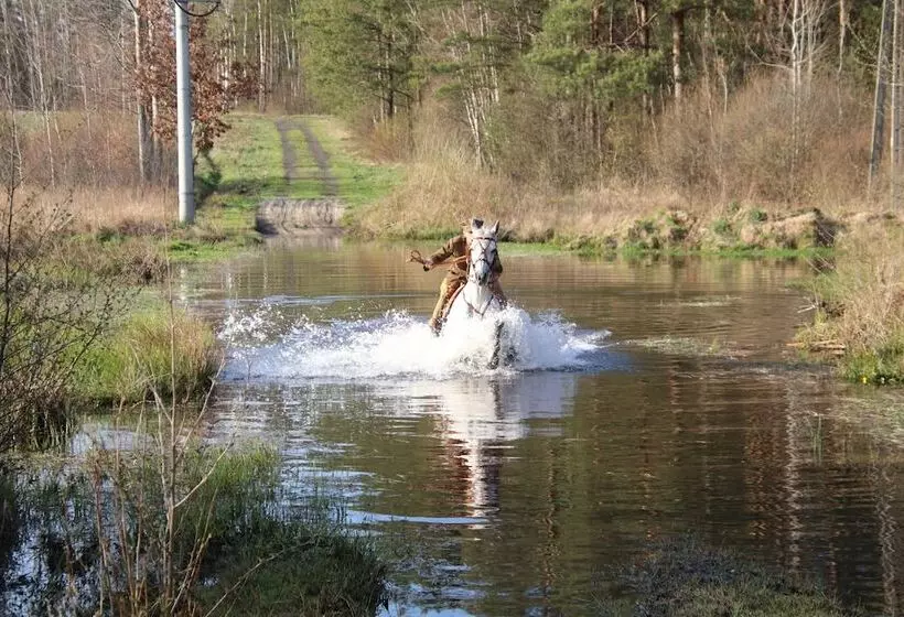 Aamiaismajoitus (B&B) Chata Pod świnią Górą