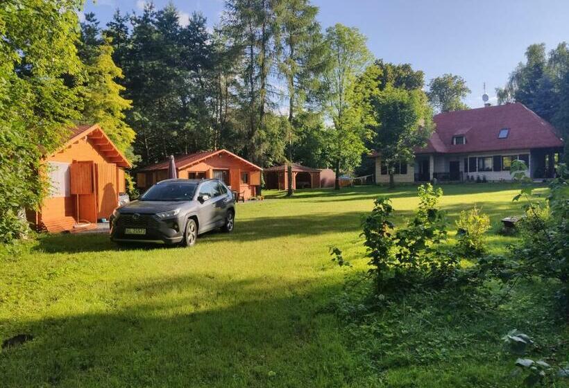 膳宿费 Domek Mazurski Ze świerka Syberyjskiego Z Klimatyzacją