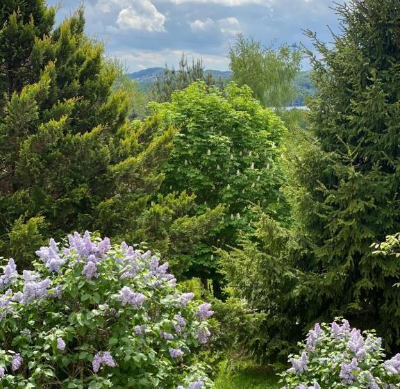 Anielski Zakątek Solina