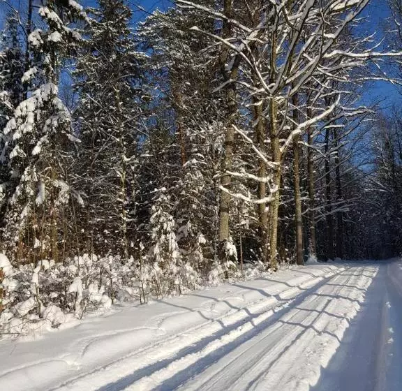 ベッドアンドブレックファースト Białowieska Leśniczówka U Jasia I Małgosi