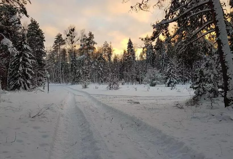 ベッドアンドブレックファースト Białowieska Leśniczówka U Jasia I Małgosi