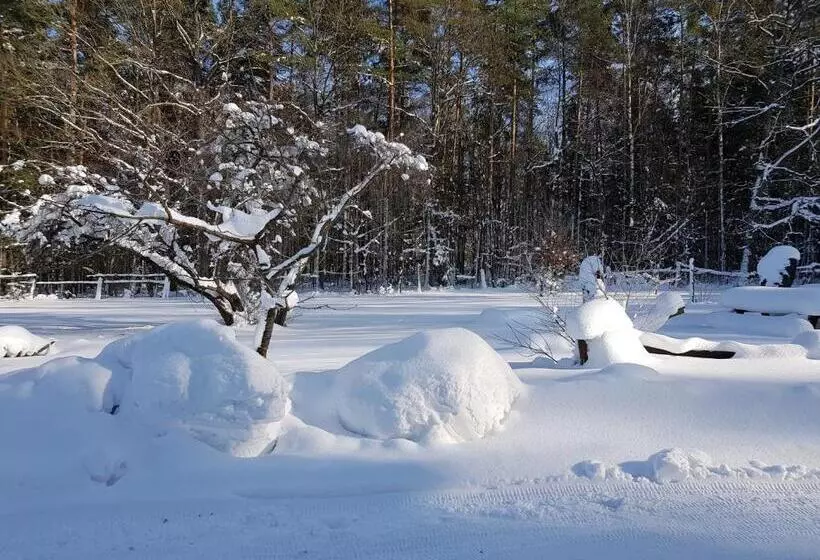 ベッドアンドブレックファースト Białowieska Leśniczówka U Jasia I Małgosi