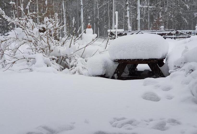 צימר Białowieska Leśniczówka U Jasia I Małgosi