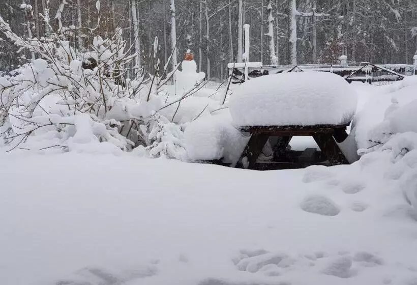 ベッドアンドブレックファースト Białowieska Leśniczówka U Jasia I Małgosi