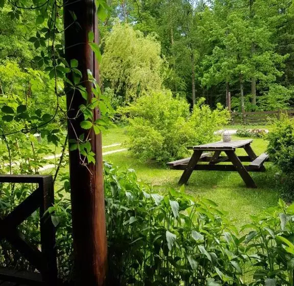 ベッドアンドブレックファースト Białowieska Leśniczówka U Jasia I Małgosi