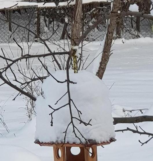 צימר Białowieska Leśniczówka U Jasia I Małgosi