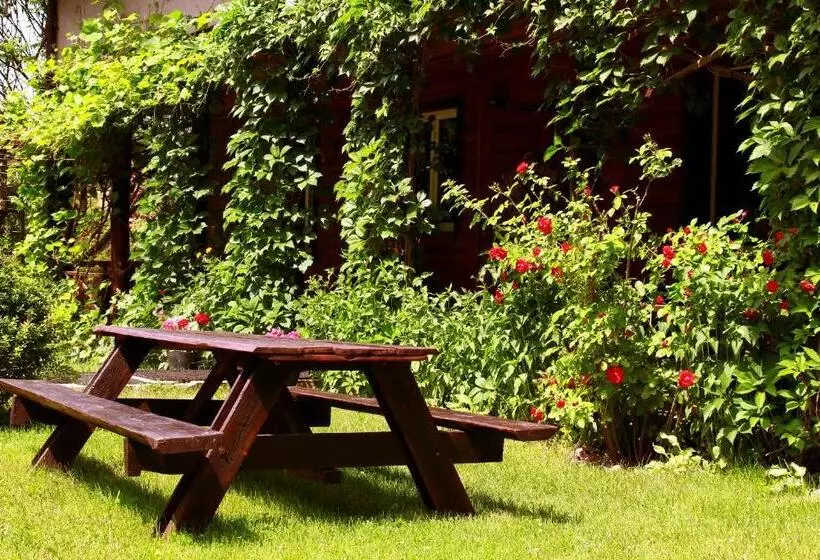 ベッドアンドブレックファースト Białowieska Leśniczówka U Jasia I Małgosi