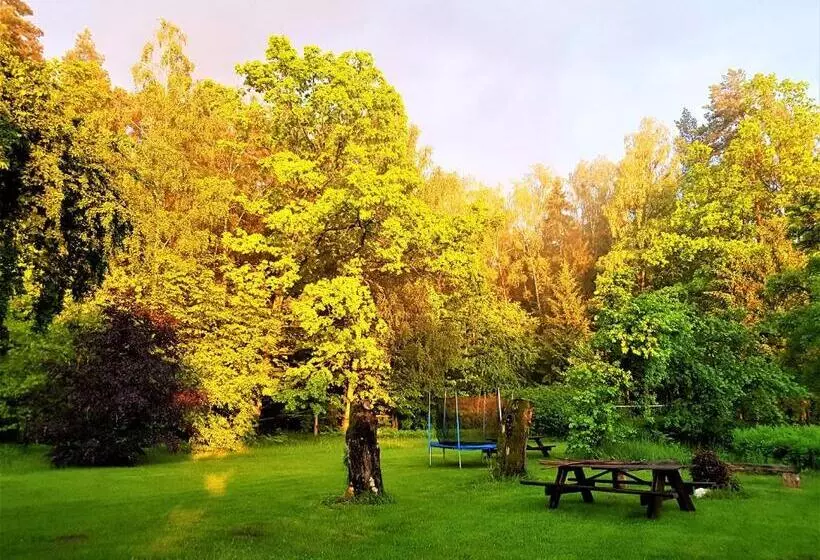 ベッドアンドブレックファースト Białowieska Leśniczówka U Jasia I Małgosi