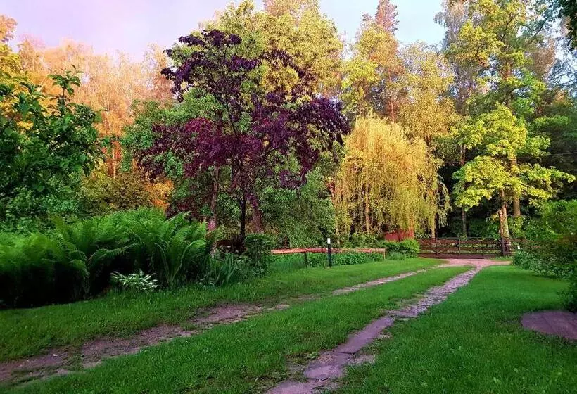 ベッドアンドブレックファースト Białowieska Leśniczówka U Jasia I Małgosi