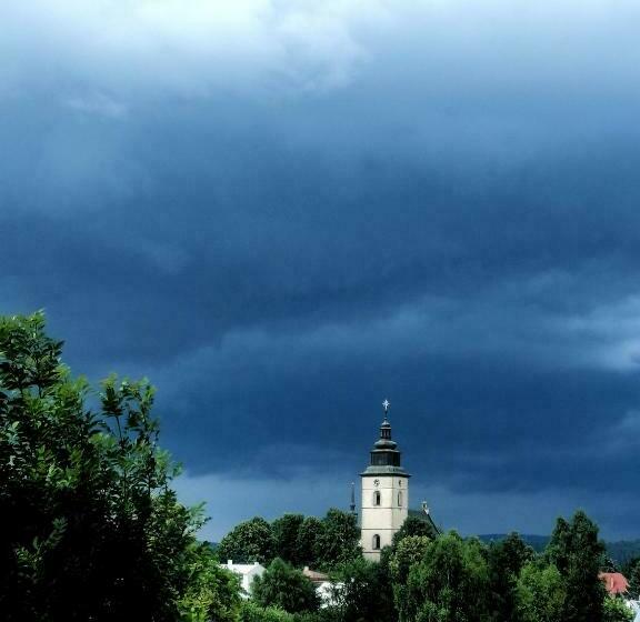 住宿加早餐 Klimatyczny Dom, Noclegi W Lesie Miejskim