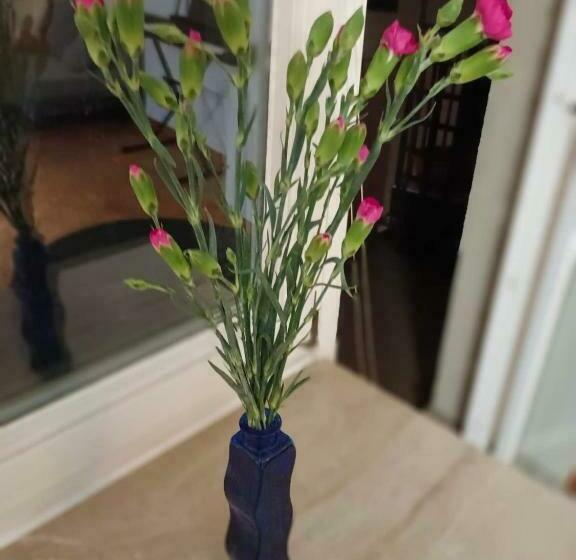 צימר Silversky Apartment