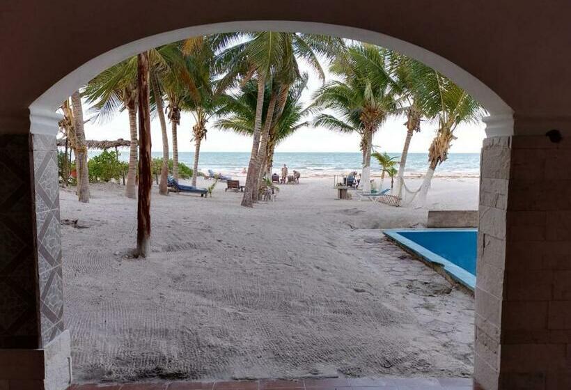 Casa Mate Beachfront Houses El Cuyo