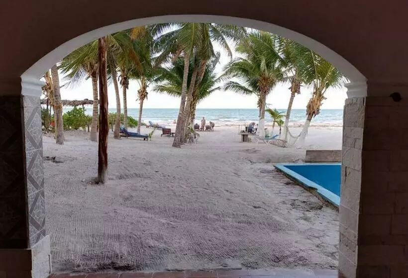Casa Mate Beachfront Houses El Cuyo