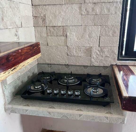 Casa Mate Beachfront Houses El Cuyo