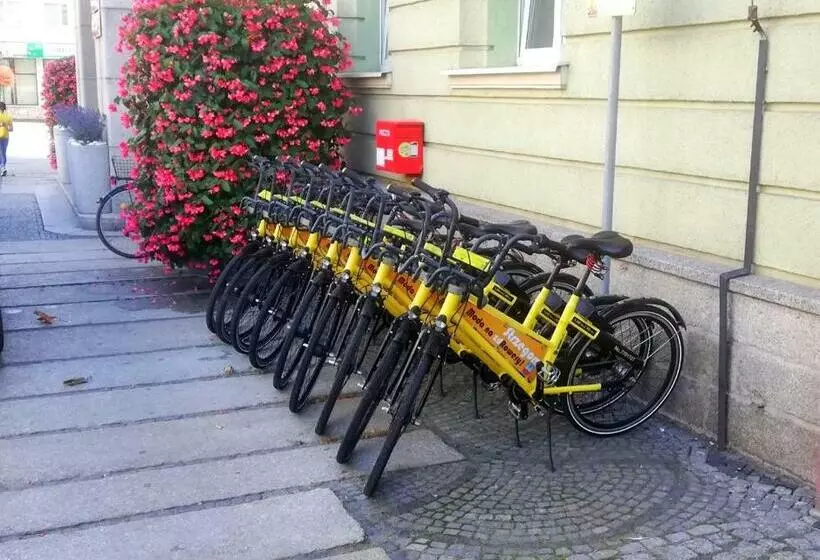 Great Polonia Strzegom City Center