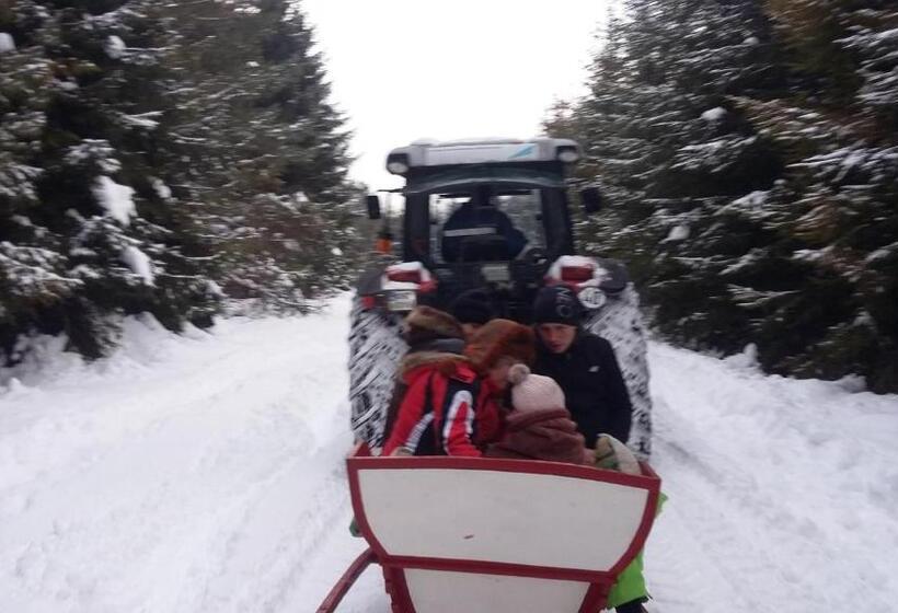 فندق Agroturystyka Na Słonecznej Orawie U Dzikich