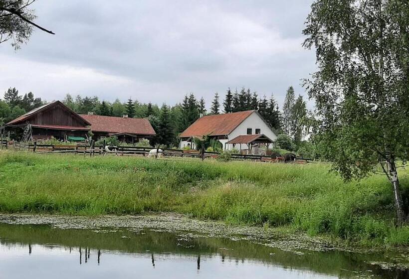 Hotel Jabłkowo Na Skraju Puszczy Boreckiej śniadania W Cenie