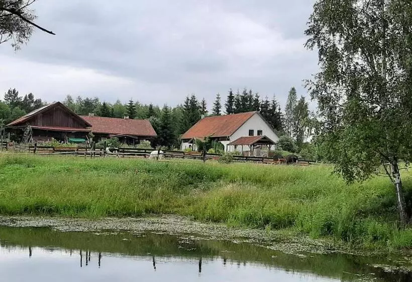 ホテル Jabłkowo Na Skraju Puszczy Boreckiej śniadania W Cenie
