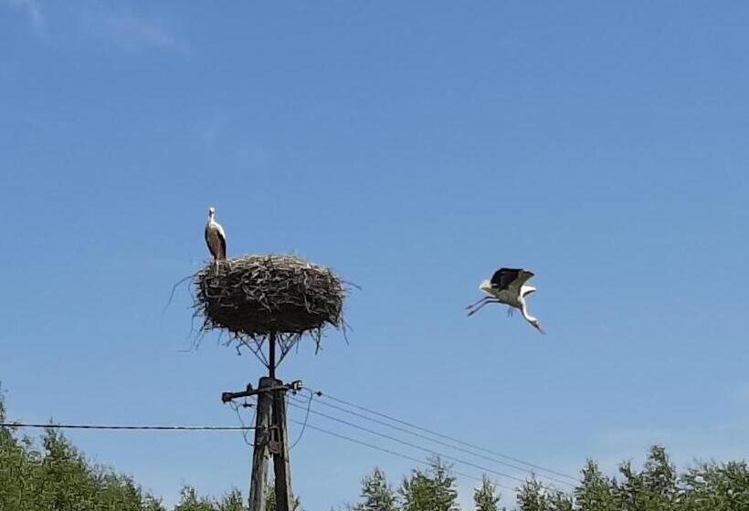 Отель Jabłkowo Na Skraju Puszczy Boreckiej śniadania W Cenie
