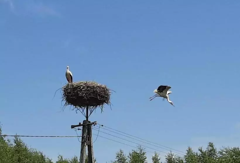 ホテル Jabłkowo Na Skraju Puszczy Boreckiej śniadania W Cenie