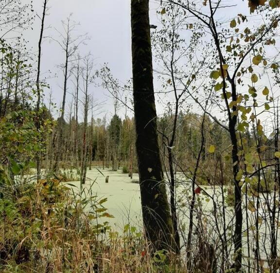 Отель Jabłkowo Na Skraju Puszczy Boreckiej śniadania W Cenie