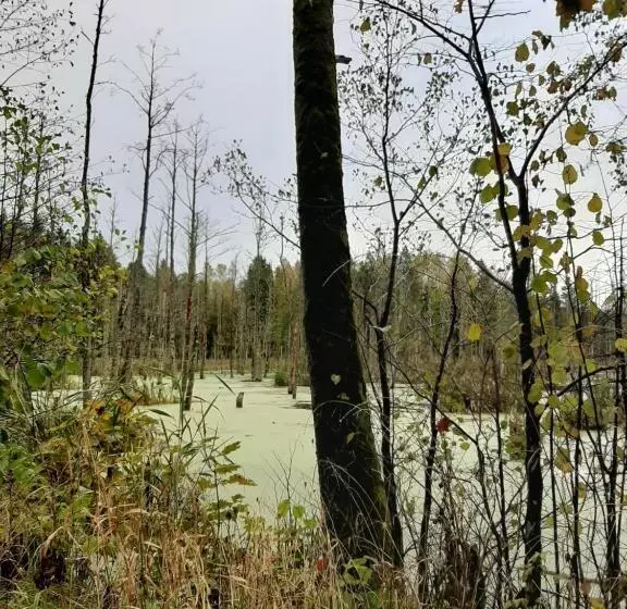 ホテル Jabłkowo Na Skraju Puszczy Boreckiej śniadania W Cenie