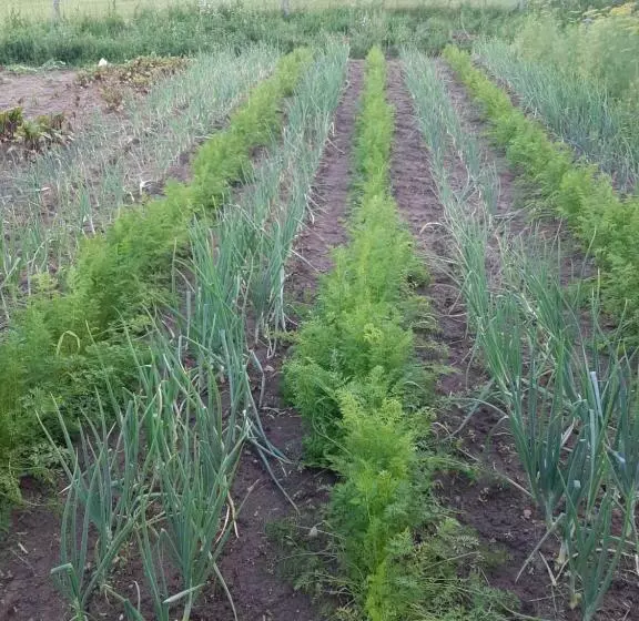 ホテル Jabłkowo Na Skraju Puszczy Boreckiej śniadania W Cenie