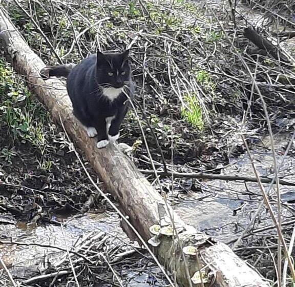 Hotel Jabłkowo Na Skraju Puszczy Boreckiej śniadania W Cenie