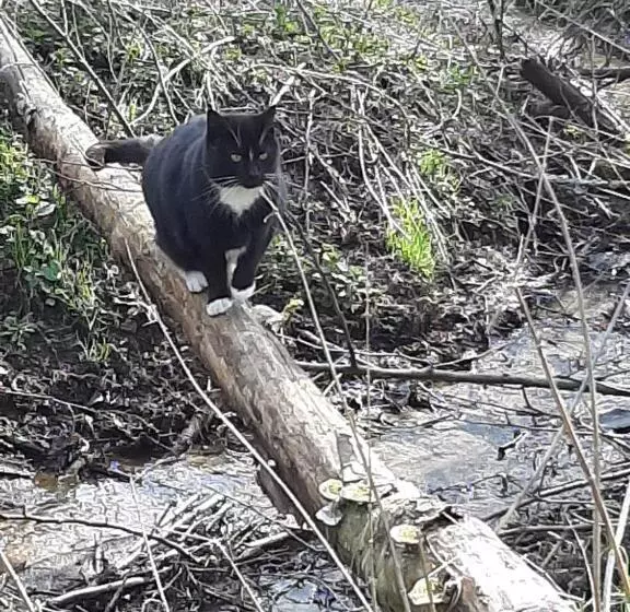 ホテル Jabłkowo Na Skraju Puszczy Boreckiej śniadania W Cenie