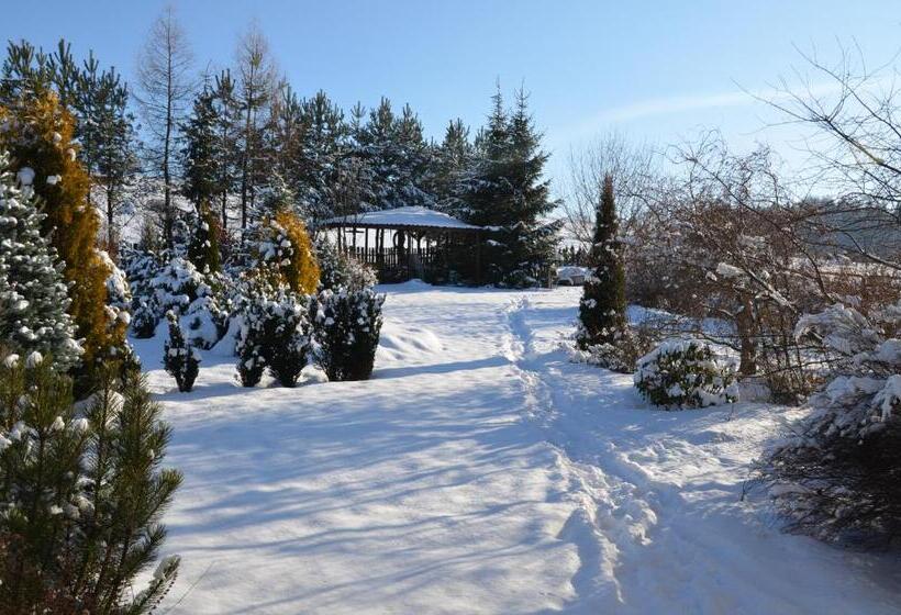 فندق Willa Maciejka