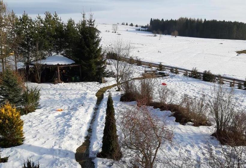 فندق Willa Maciejka