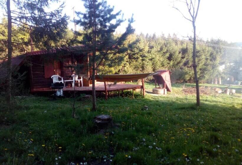 膳宿费 Domek Górski Z Sauną