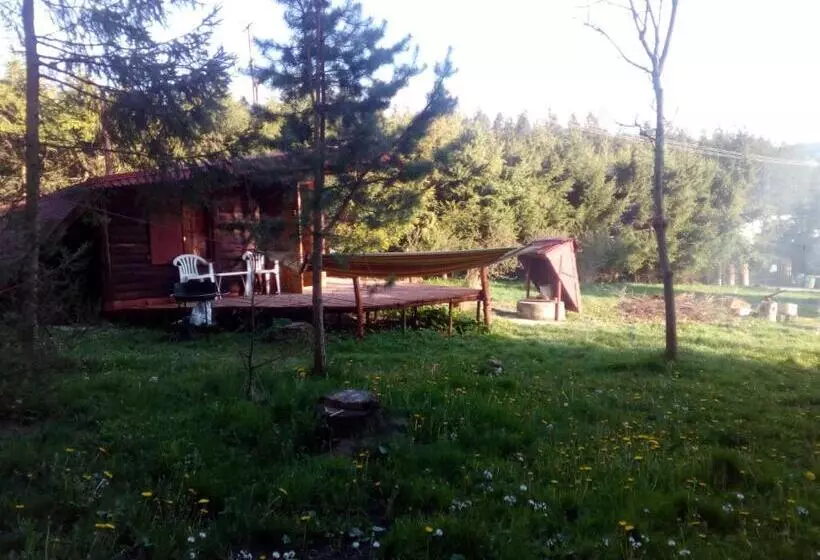 ペンション Domek Górski Z Sauną