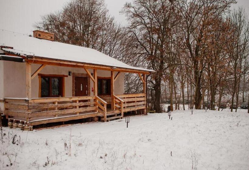 הוסטל Kacze Bagno   Miejsce Inicjatyw Pozytywnych