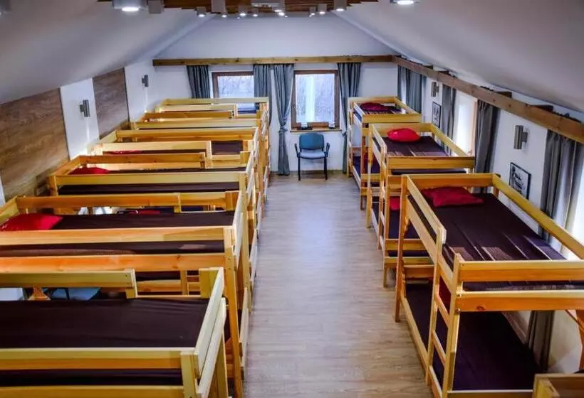 Retkeilymaja Kacze Bagno   Miejsce Inicjatyw Pozytywnych