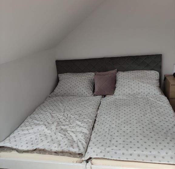 旅馆 Nad Jeziorem Kochle