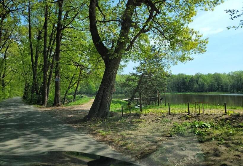 住宿加早餐 Good Sleep