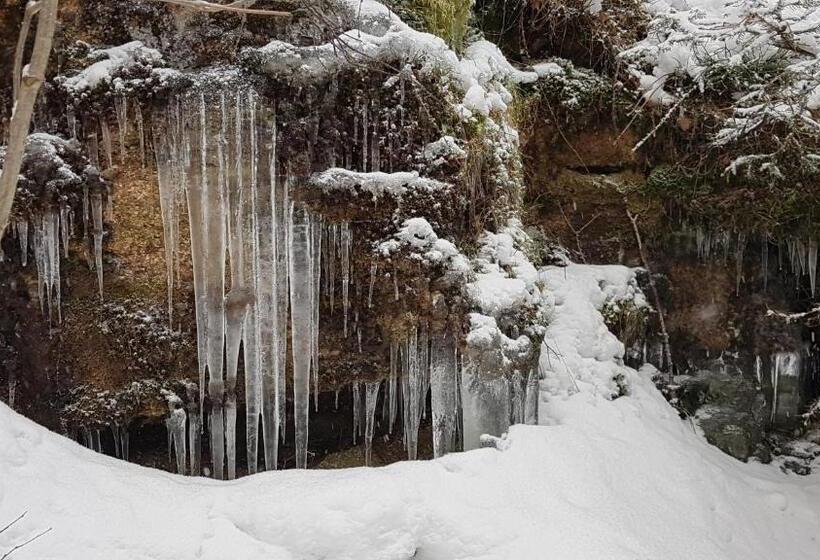 צימר Skały Spały