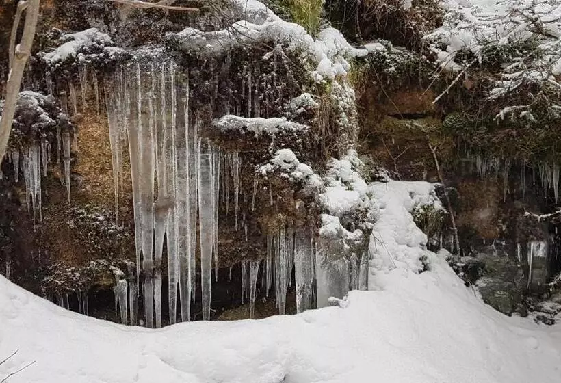 Aamiaismajoitus (B&B) Skały Spały