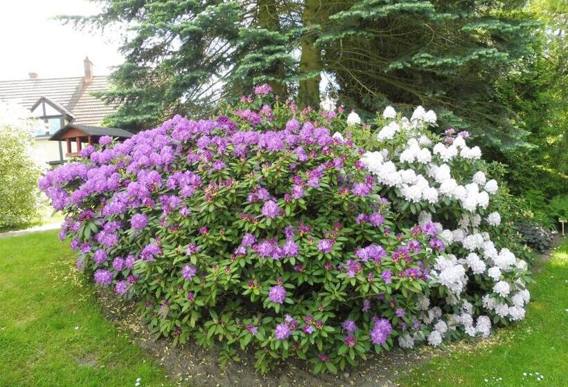 민박 The Green House