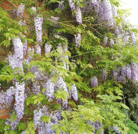 민박 The Green House