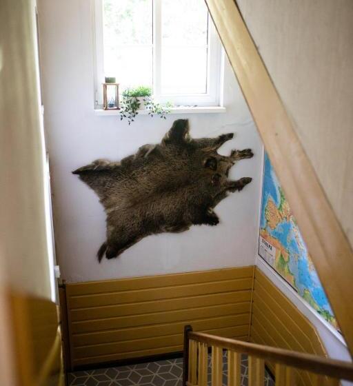 Bed & Breakfast Willa Jodła Wisła