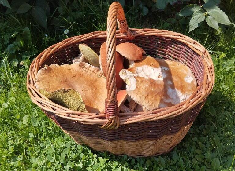 בית מלון כפרי Agroturystyka Chata Za Wsią