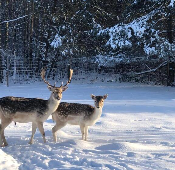 בית מלון כפרי Agroturystyka Chata Za Wsią
